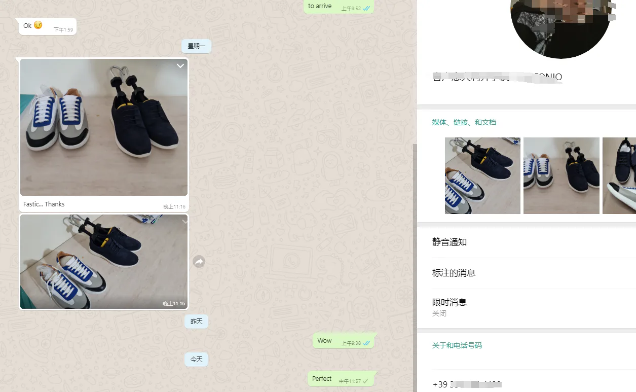 WhatsApp customer review from Italy