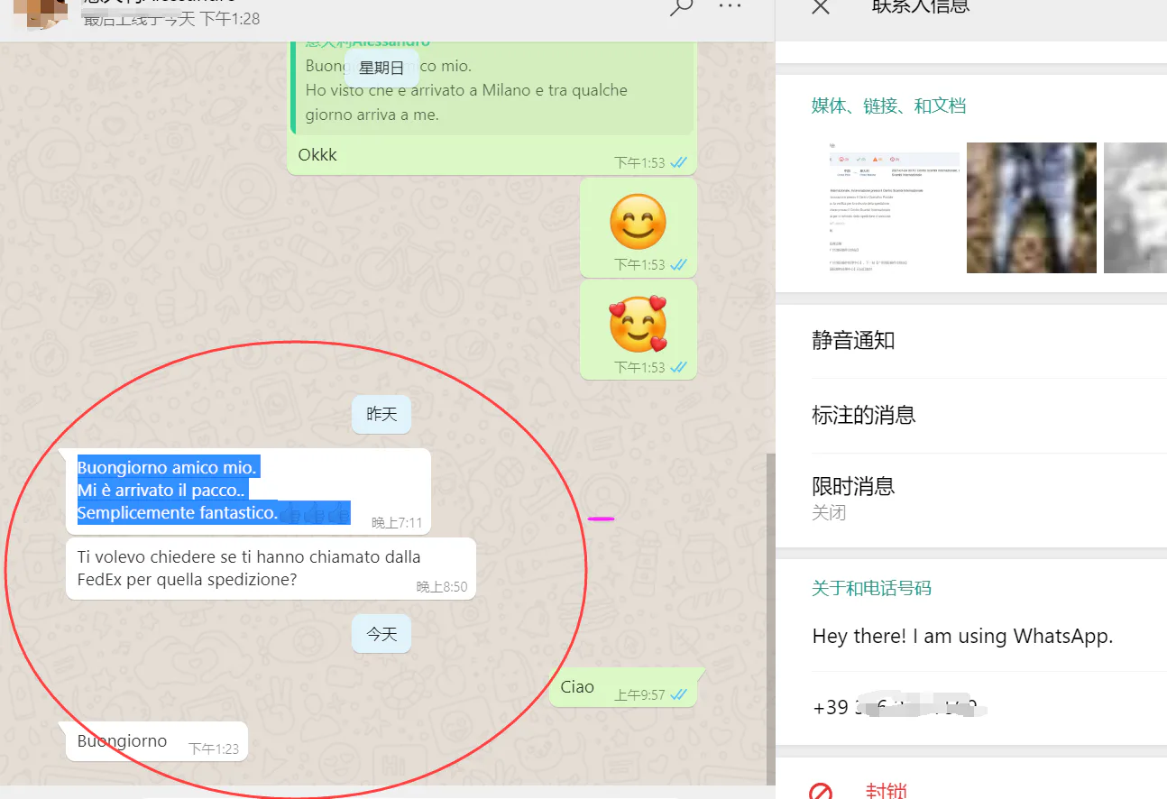 WhatsApp customer review from Italy