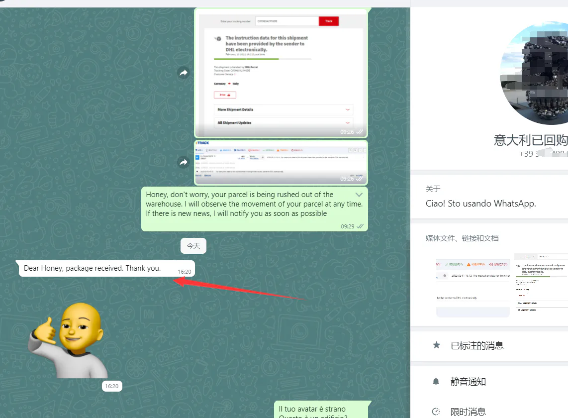 WhatsApp customer review from Italy