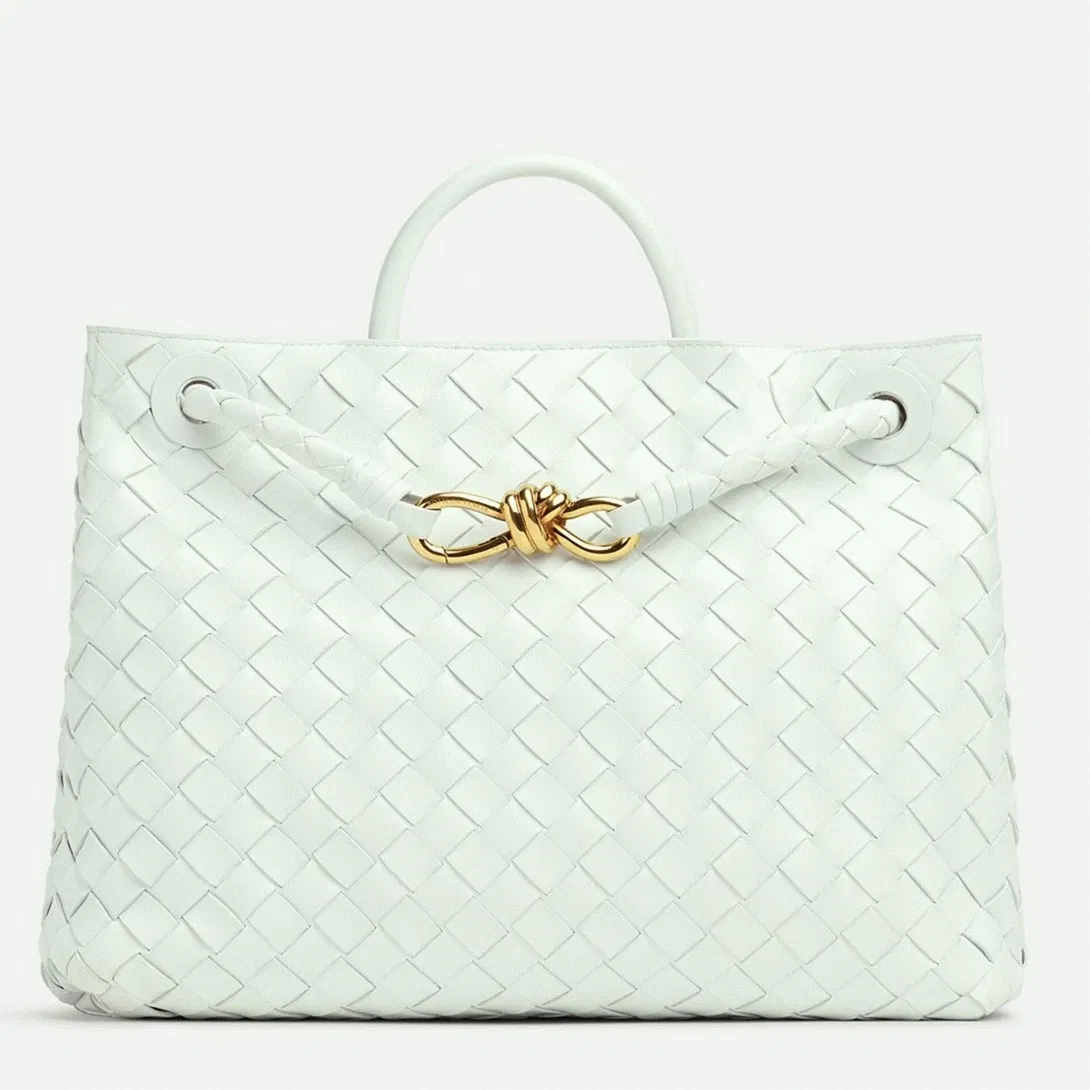 Bottega Veneta Andiamo Medium Bag Glacier