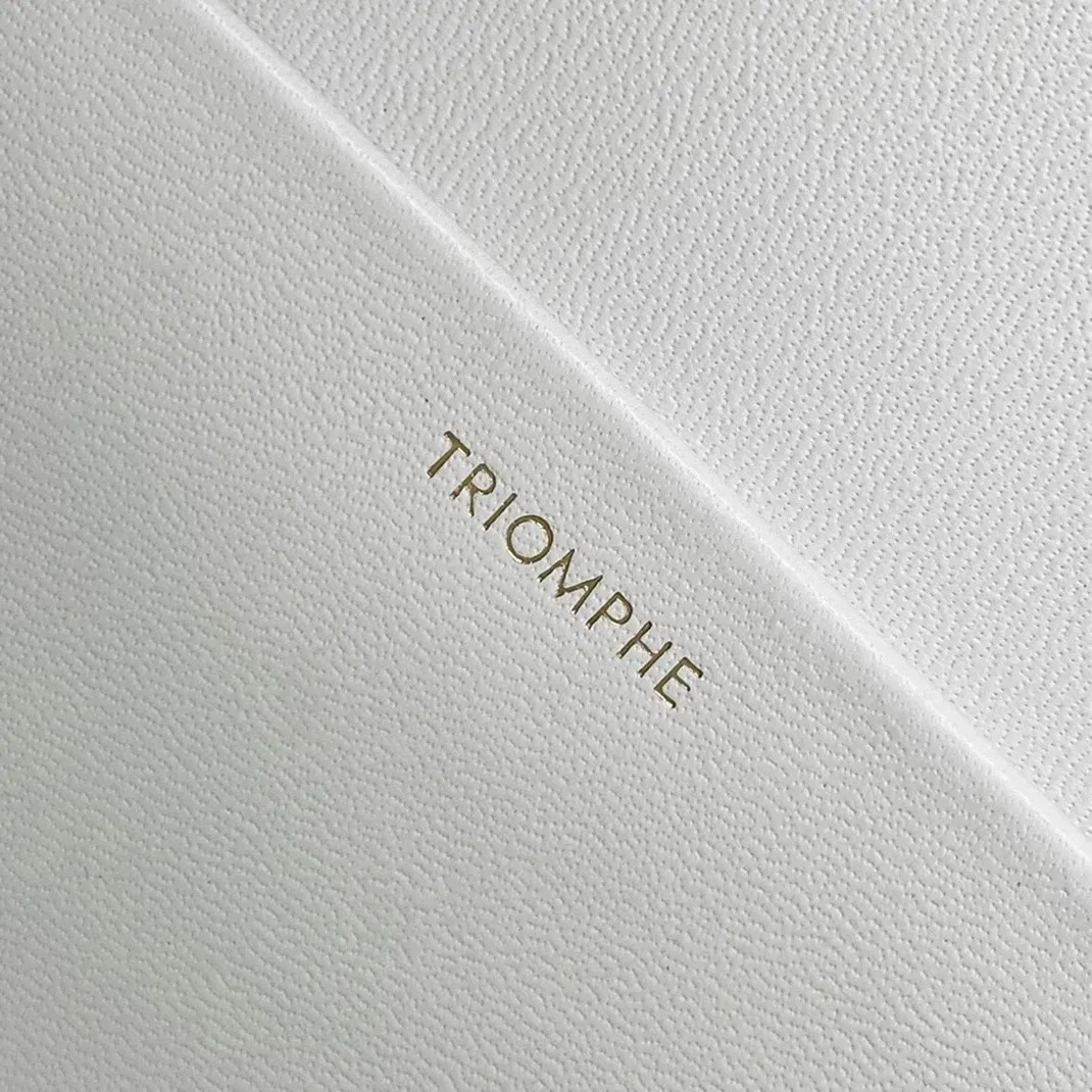 Top Quality Celine Triomphe Medium Bag In White — image 8