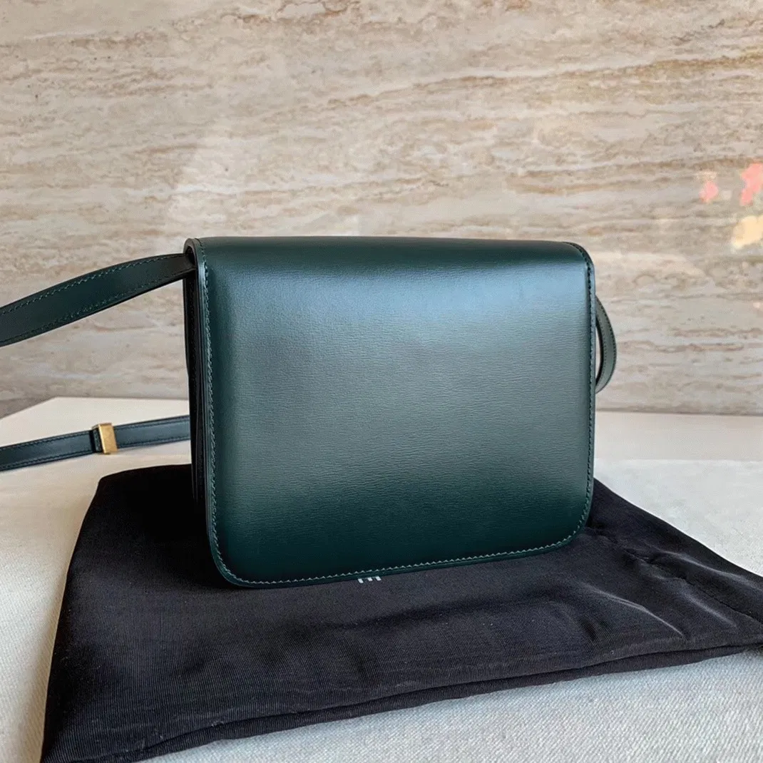Top Quality Celine Classic Box Medium Bag In Amazone — image 10