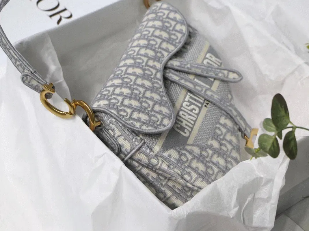 Dior Saddle Bag Knockoff in Grey Dior Oblique Embroidery — image 3