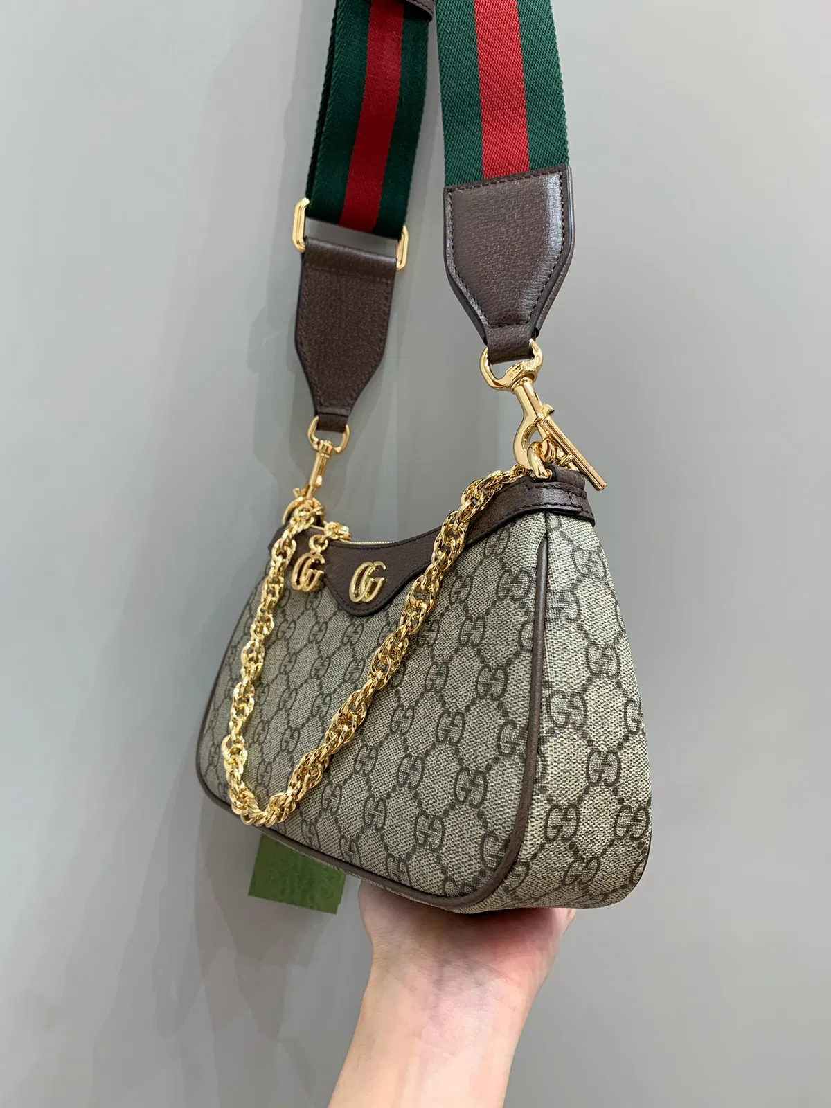 GG ophidia — image 5