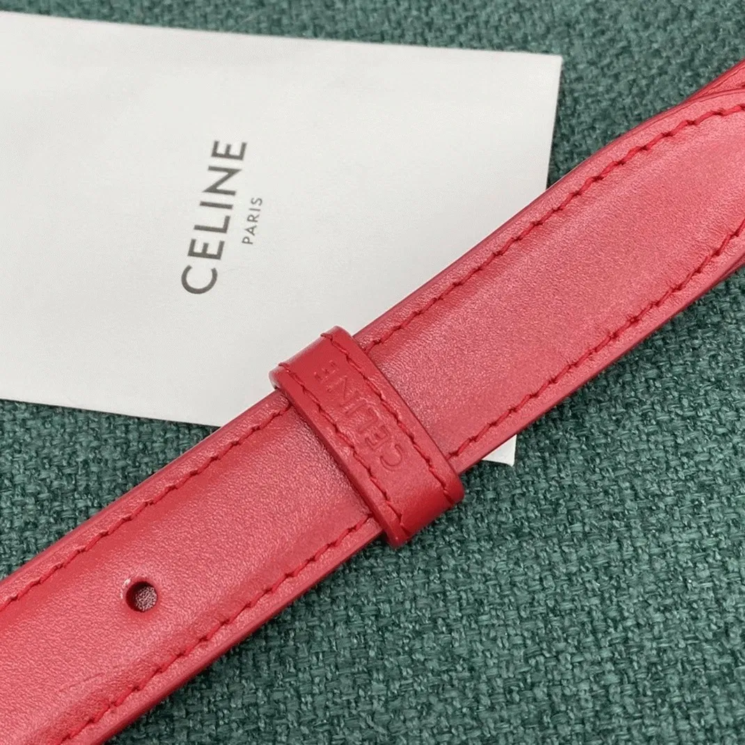 Top Quality Celine Triomphe Medium Bag In Red — image 7