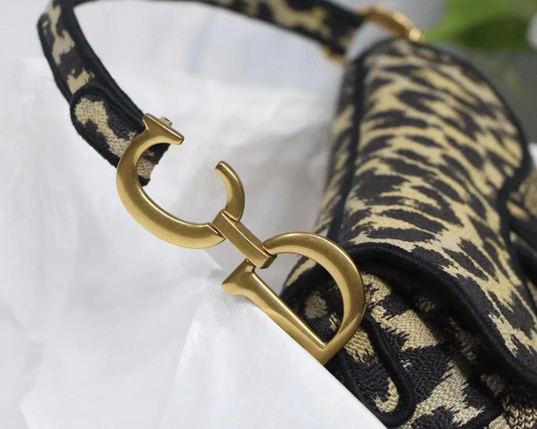 Dior Saddle Bag in Beige Multicolor Mizza Embroidery — image 2