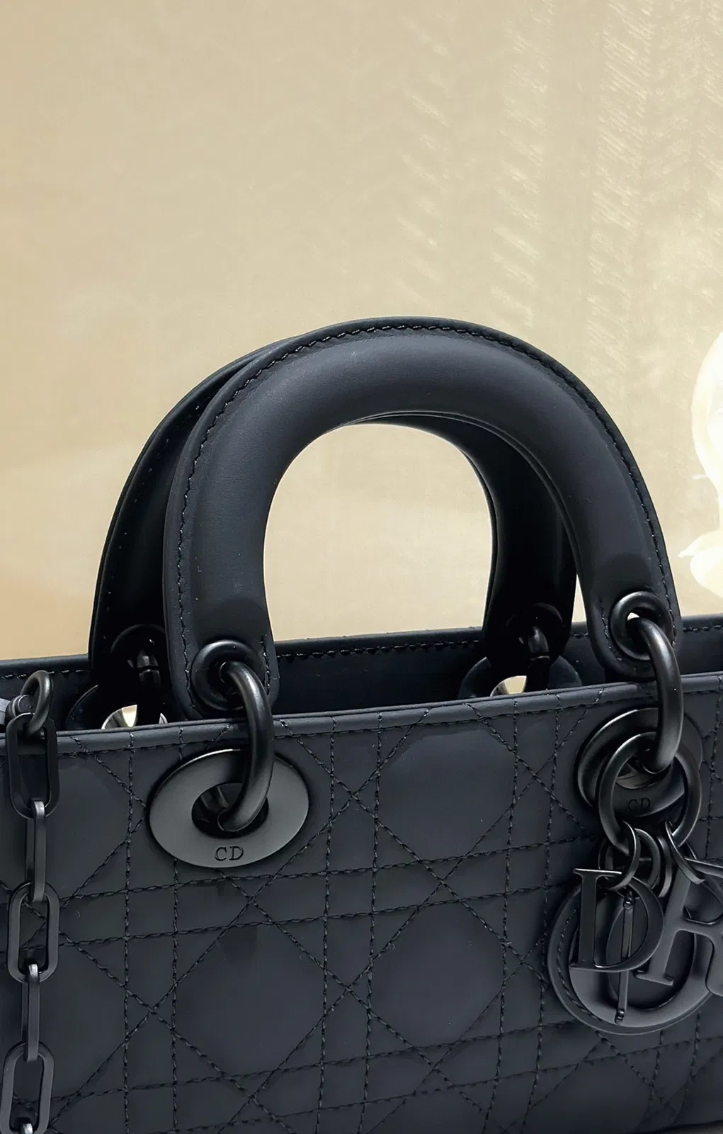 Dior Lady D-Joy Small Bag in Black — image 6