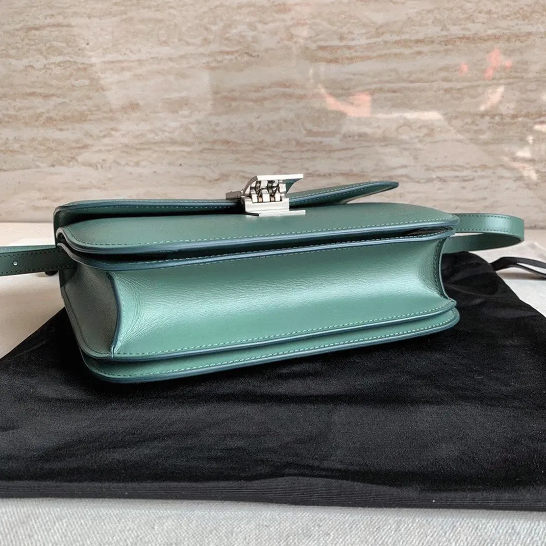 Top Quality Celine Classic Box Medium Bag In Celadon — image 5