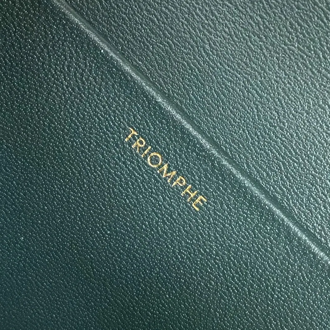 Top Quality Celine Triomphe Medium Bag In Amazone — image 4