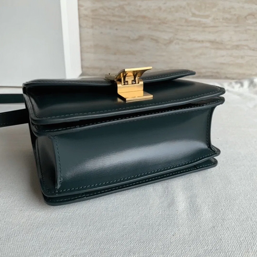 Top Quality Celine Classic Box Small Bag In Amazone — image 6