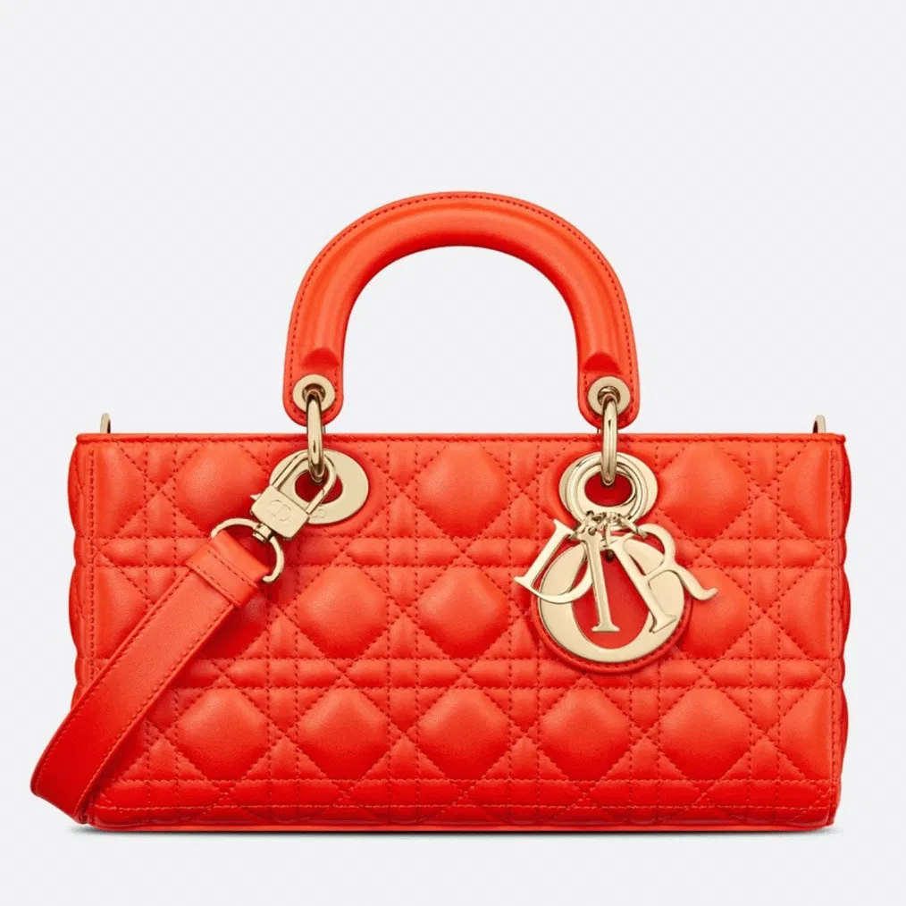 Dior Lady D-Joy Medium Bag in Orange