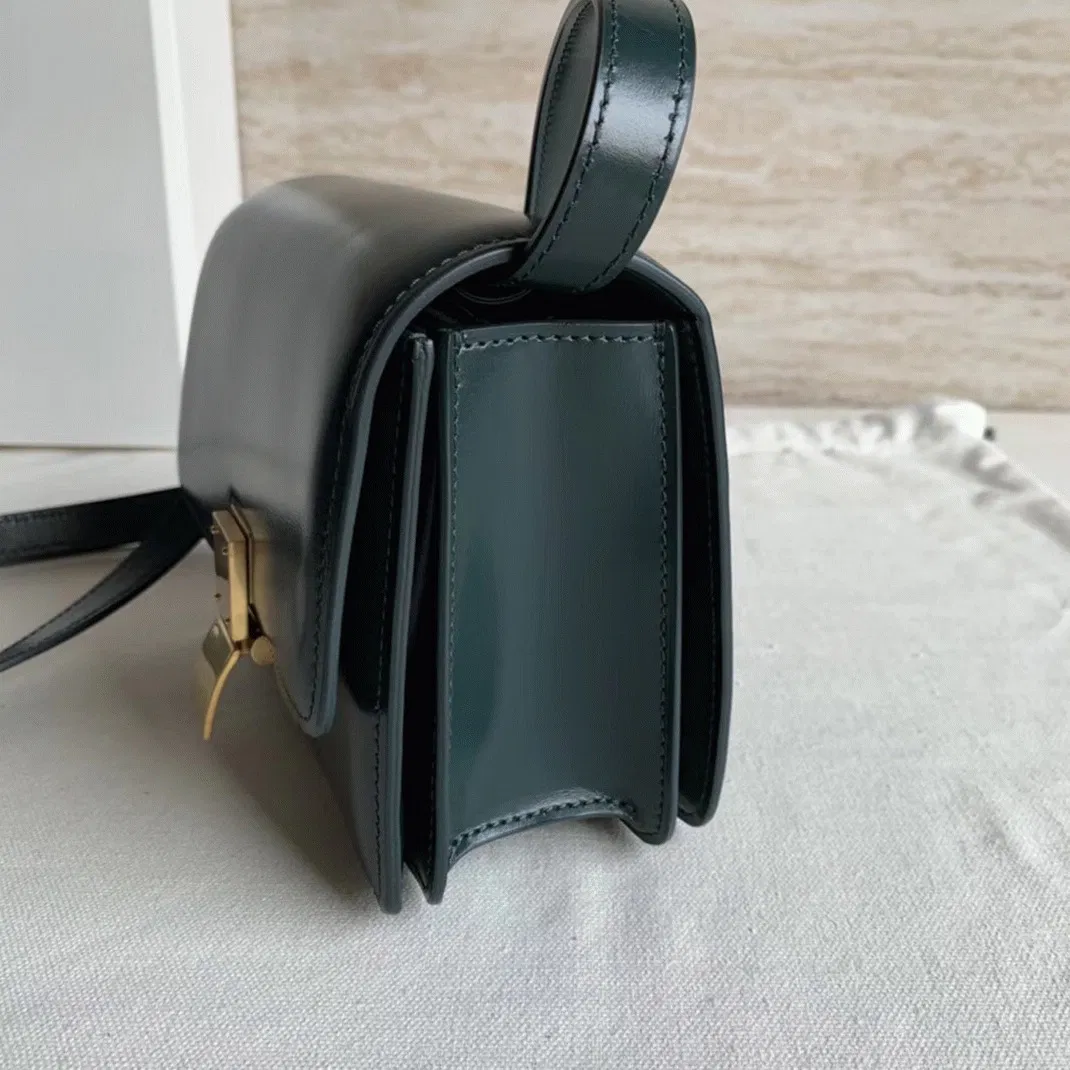 Top Quality Celine Classic Box Small Bag In Amazone — image 5