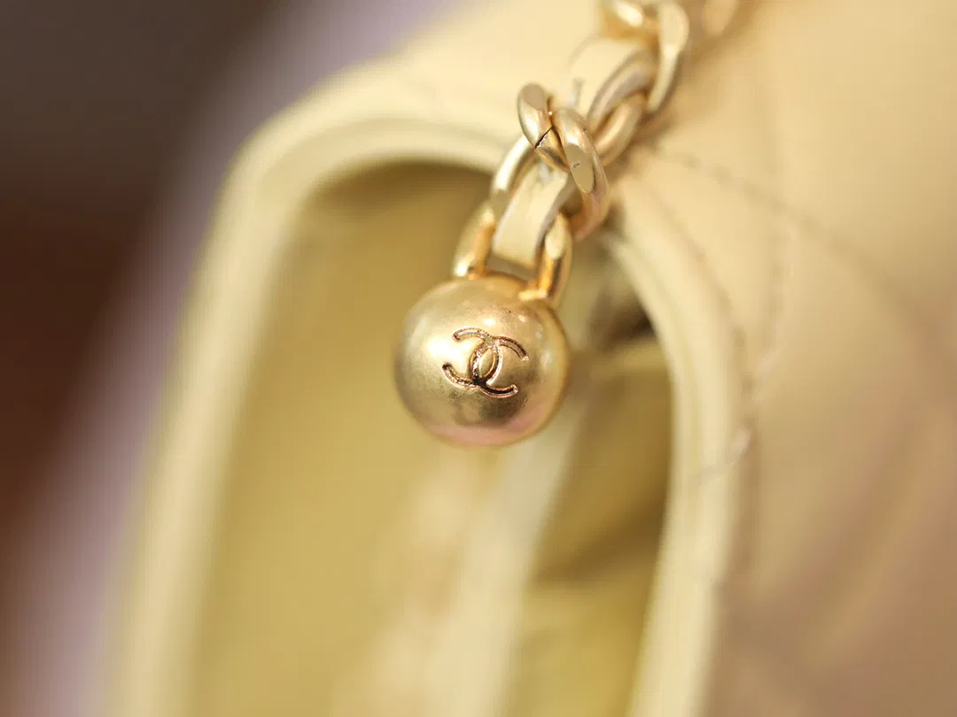 Chanel WOC — image 15