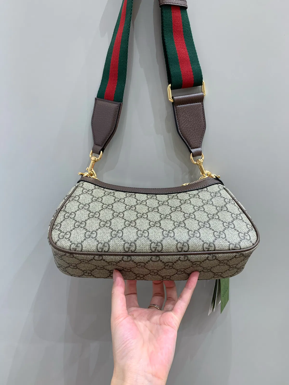 GG ophidia — image 4