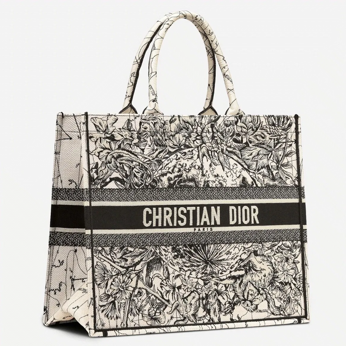 Dior Large Book Tote Bag in Latte Zodiac Embroidery