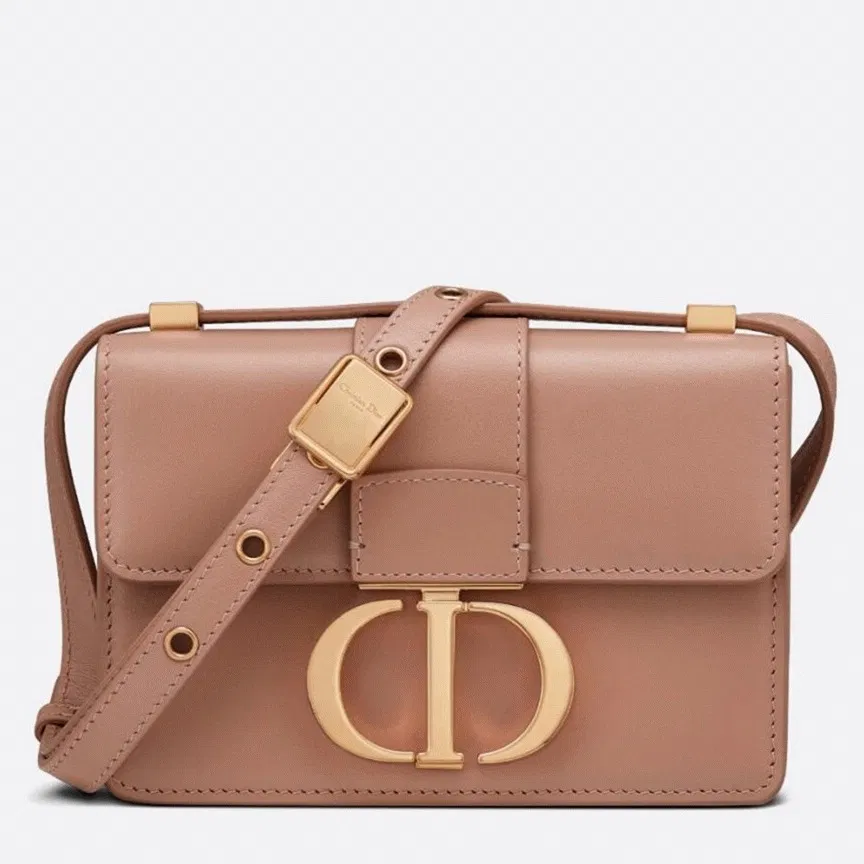 Dior 30 Montaigne Micro Bag in Poudre Box Calfskin