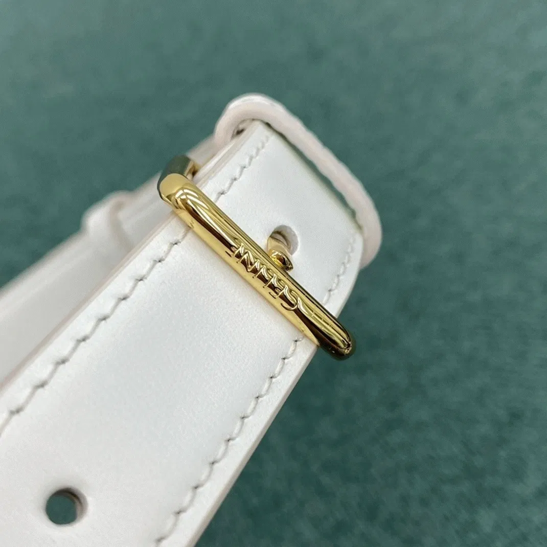 Top Quality Celine Triomphe Medium Bag In White — image 5