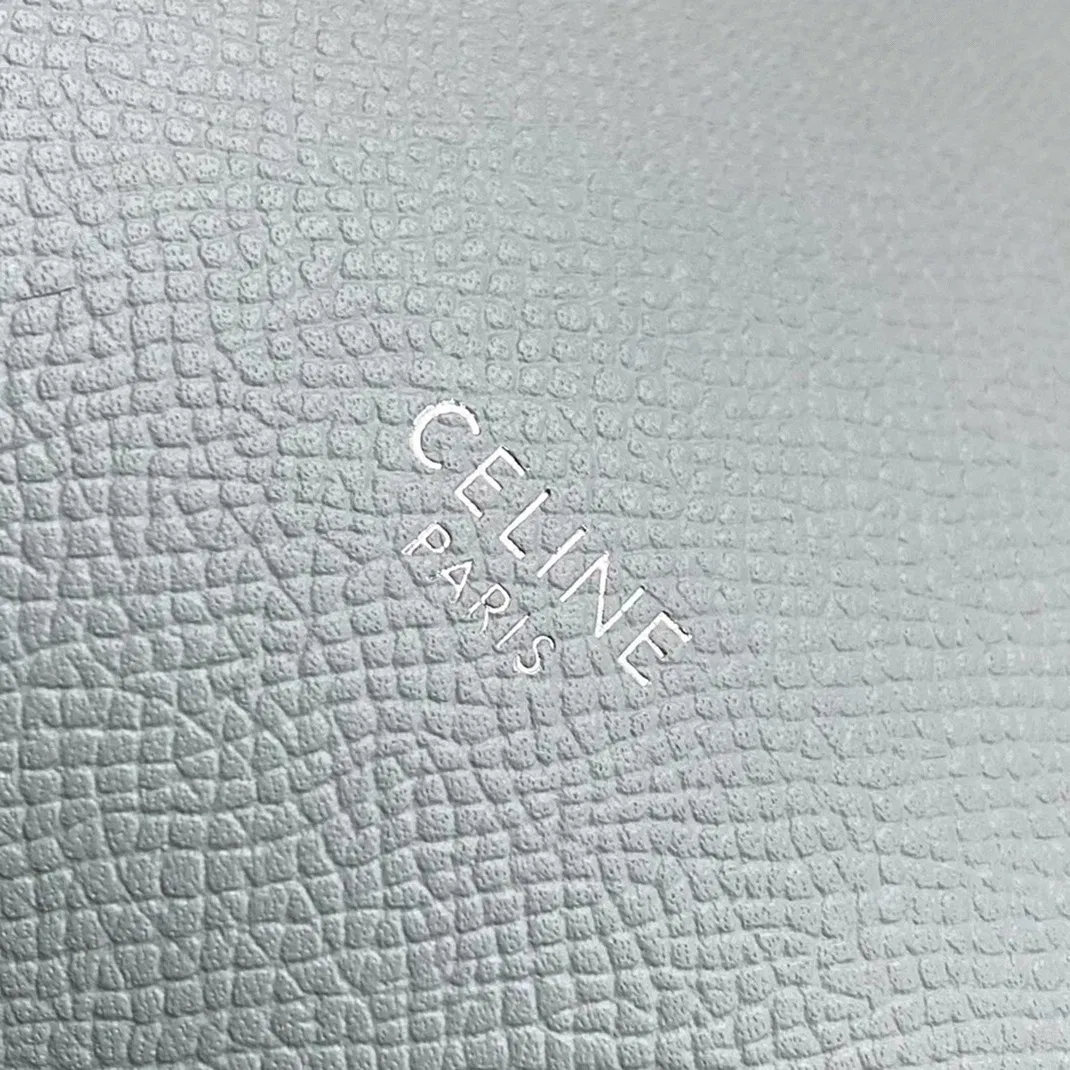 Celine Micro Belt Bag in Mineral — image 8