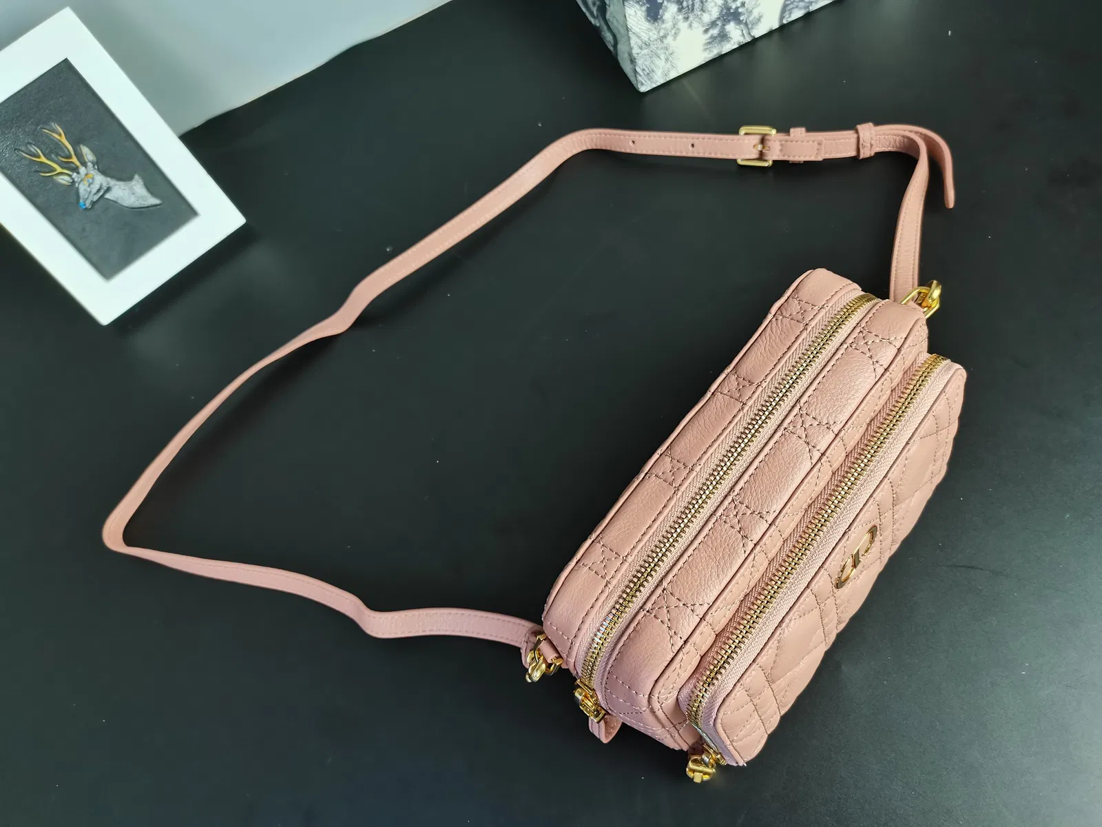 Dior Caro — image 4