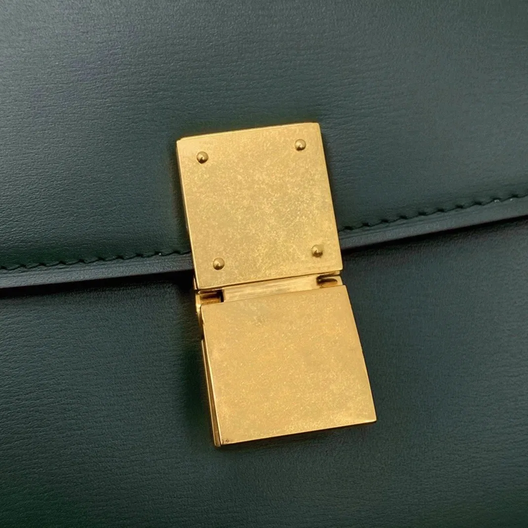 Top Quality Celine Classic Box Medium Bag In Amazone — image 7
