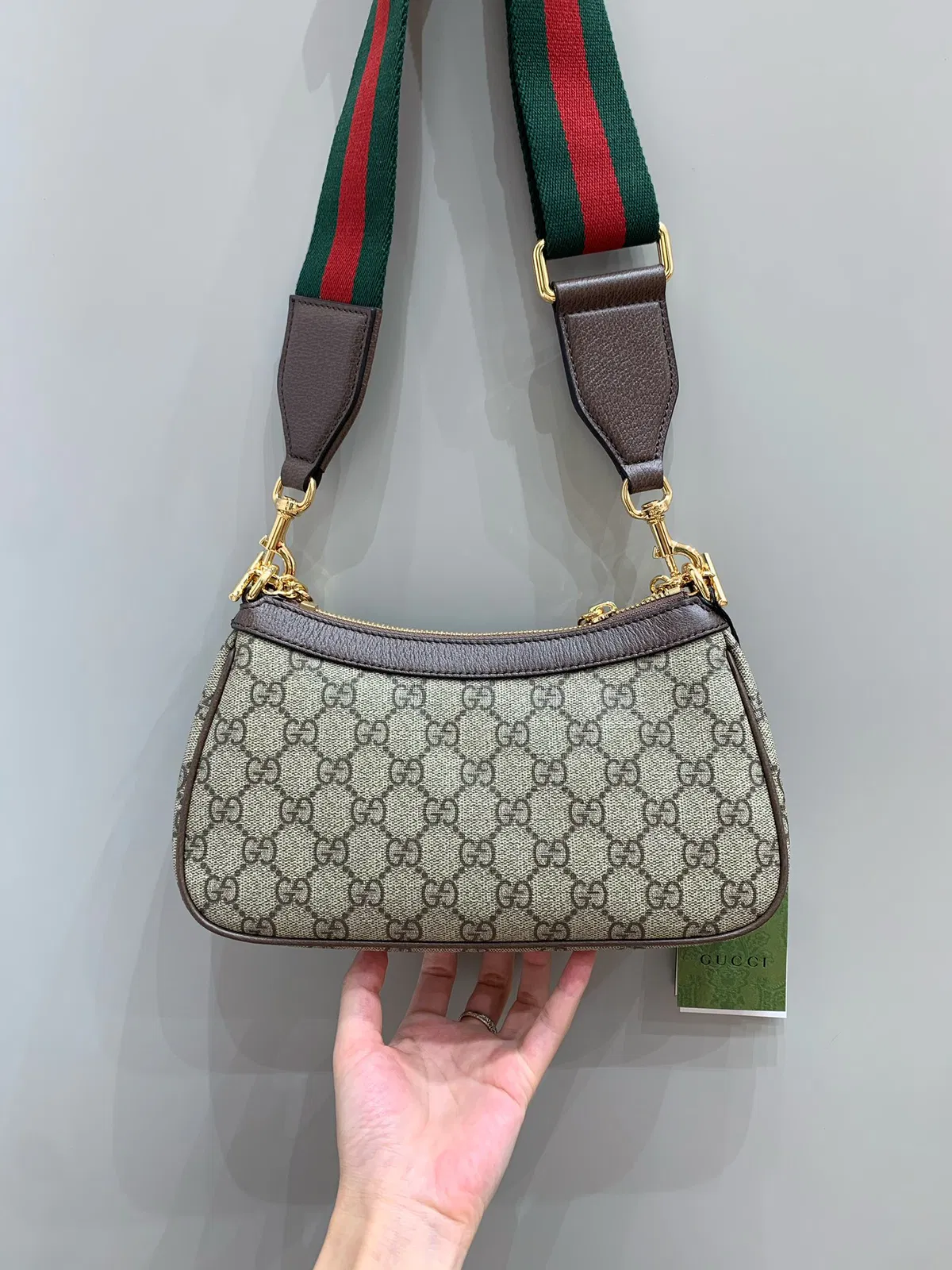 GG ophidia — image 3