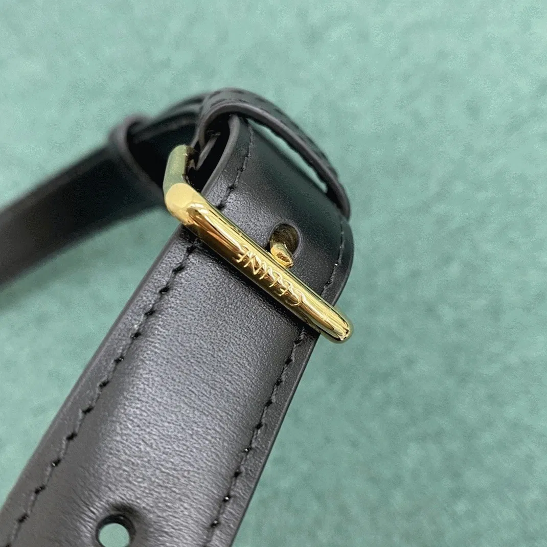 Top Quality Celine Triomphe Medium Bag In Black — image 4