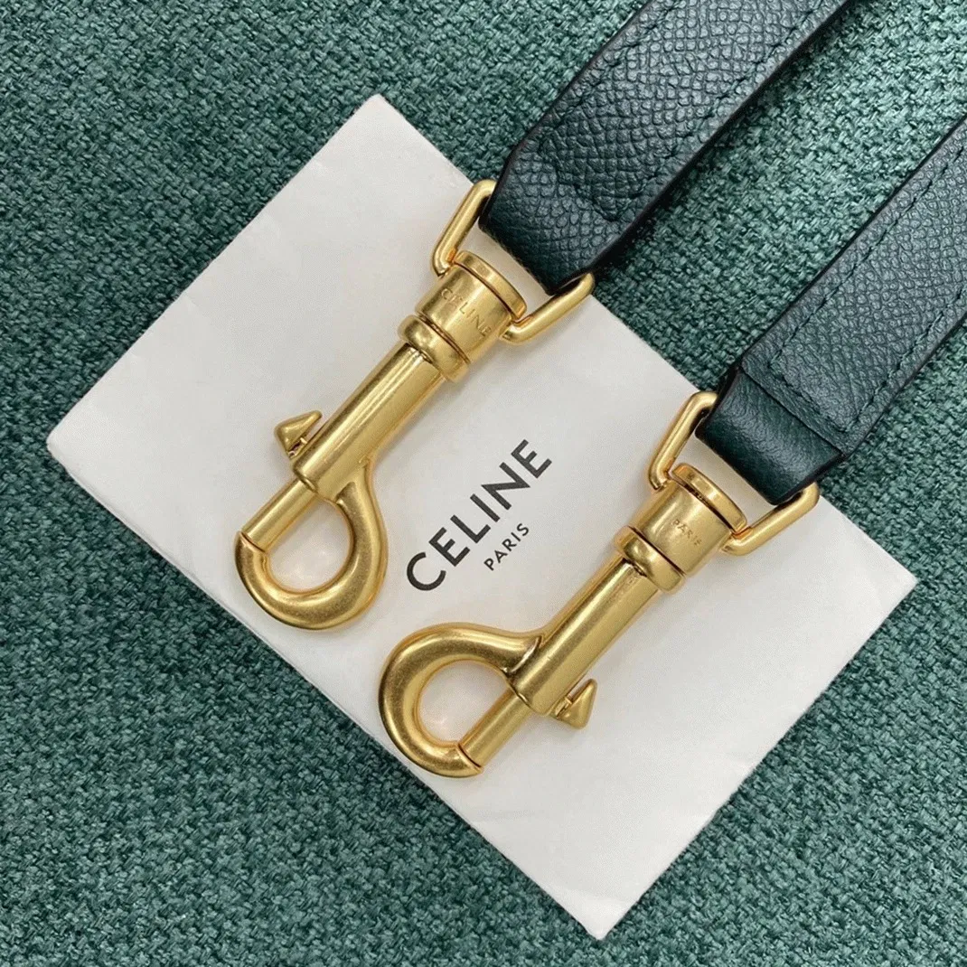 Celine Micro Belt Bag in Amazone — image 2