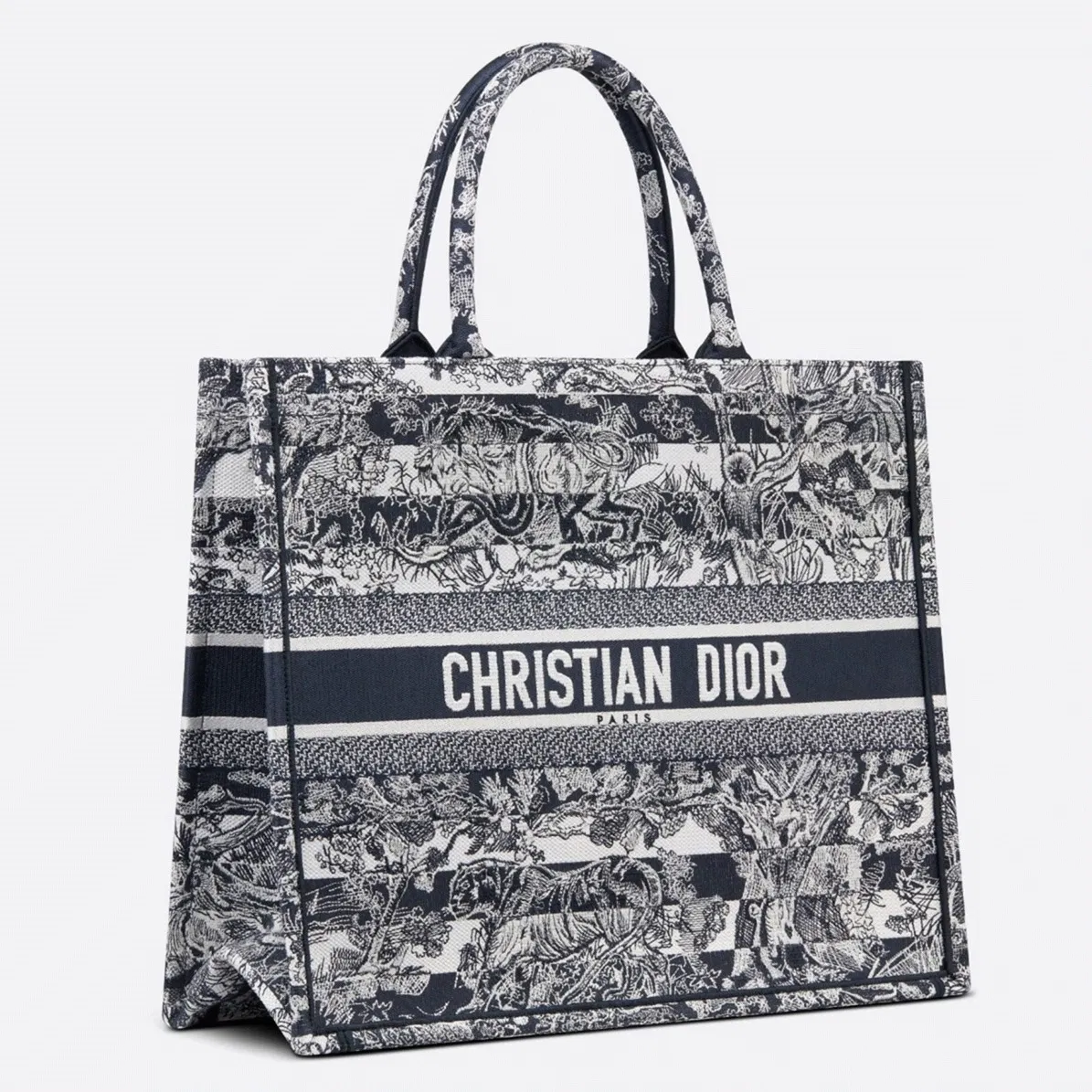 Dior Large Book Tote Bag in Blue Toile de Jouy Stripes Embroidery