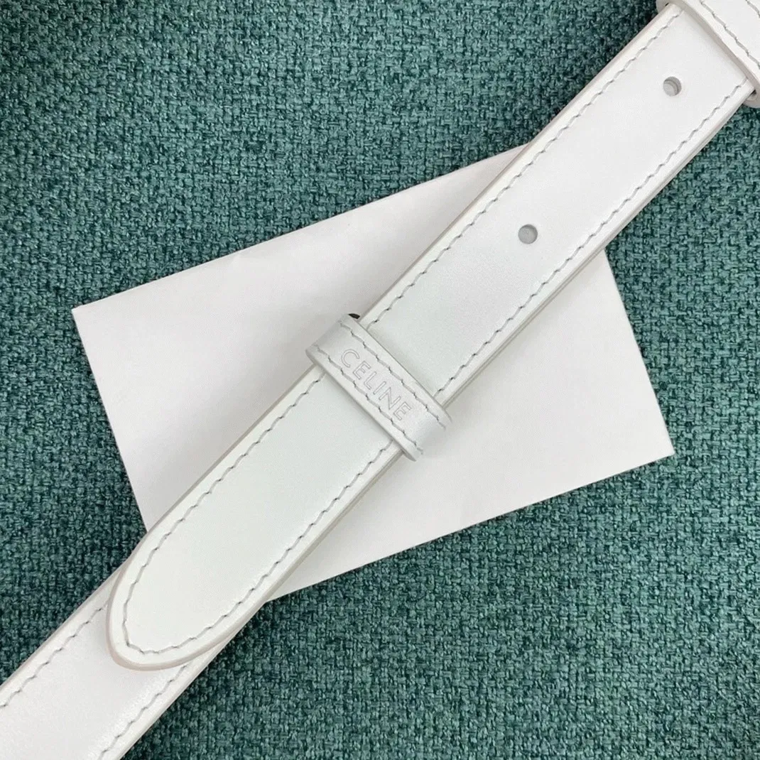 Top Quality Celine Triomphe Medium Bag In White — image 10