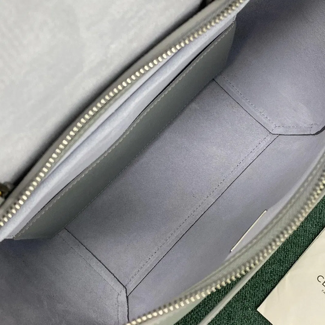 Celine Micro Belt Bag in Mineral — image 10
