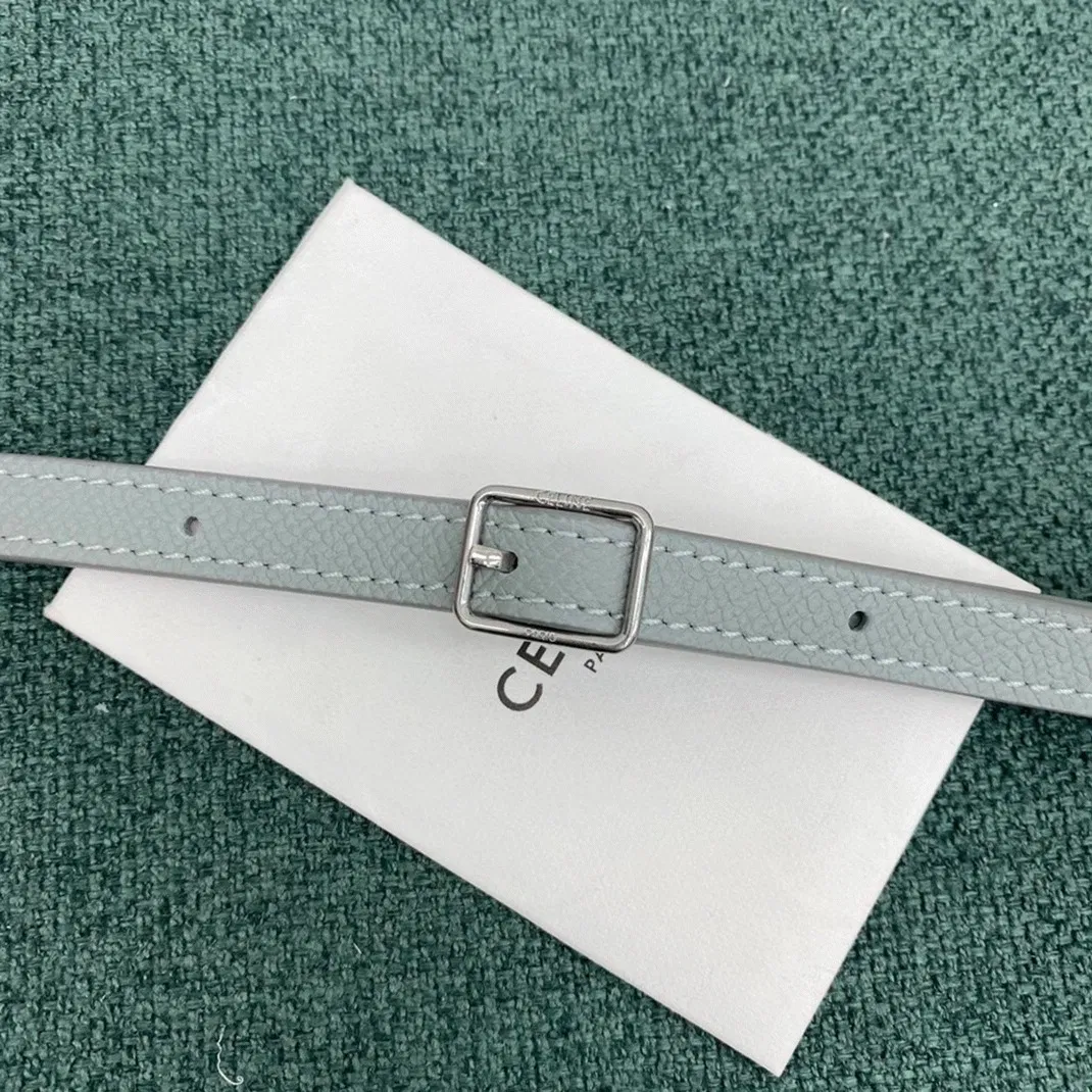 Celine Belt Nano Bag in Mineral — image 8