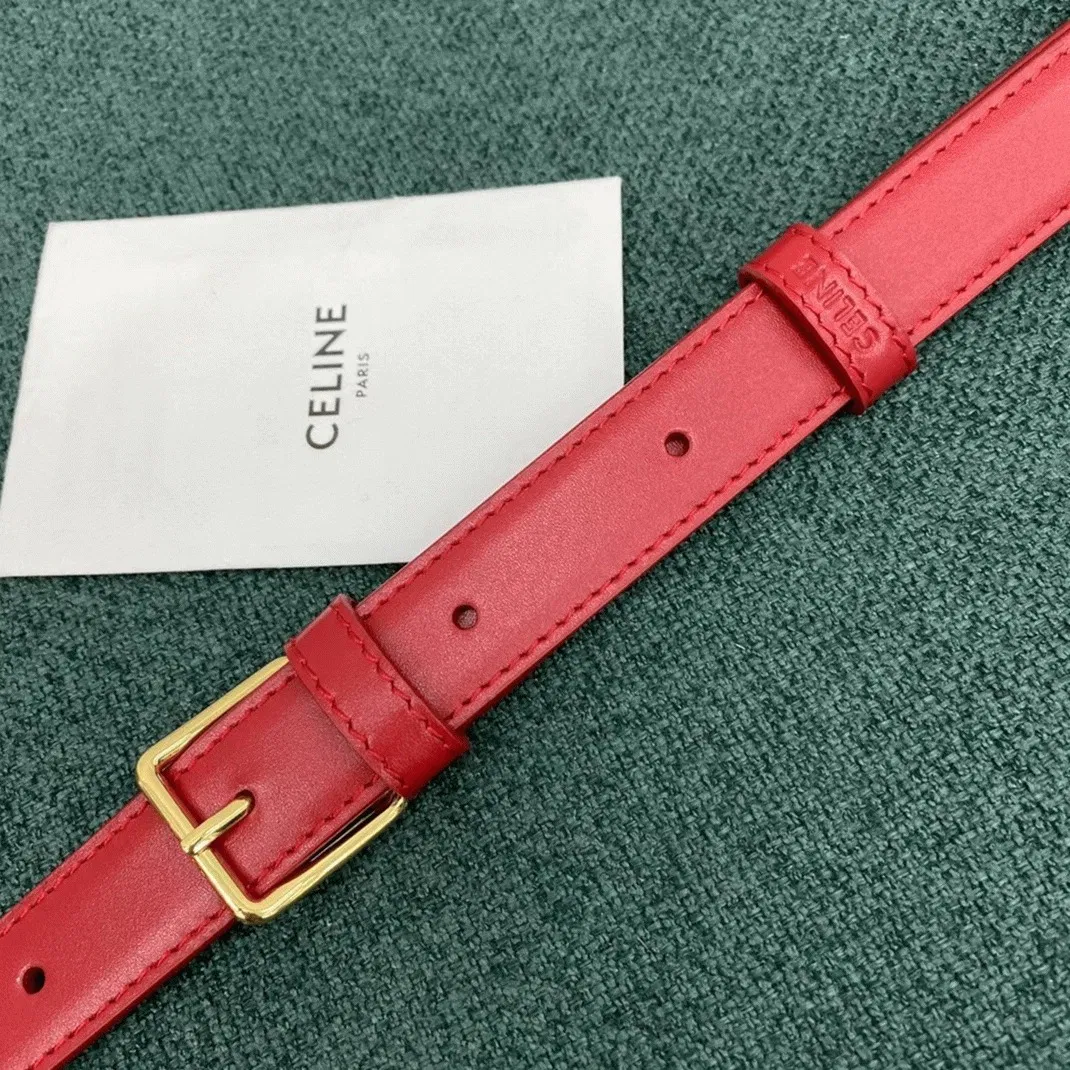 Top Quality Celine Triomphe Large Bag In Red — image 9