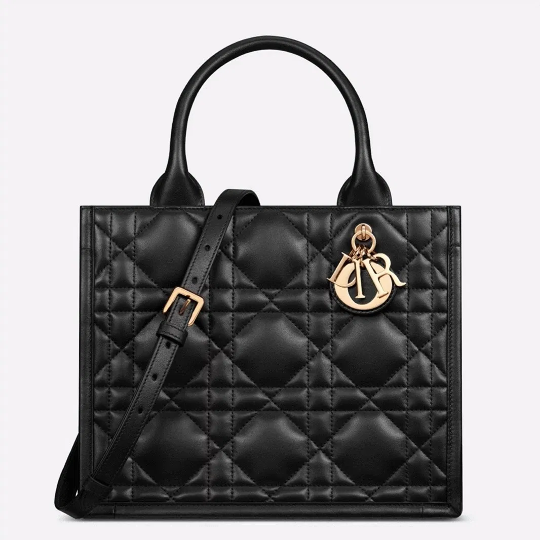 Dior Small Book Tote Bag with Strap in Black