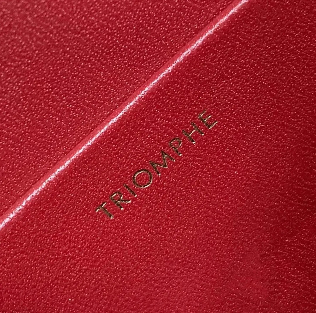 Top Quality Knockoff Celine Triomphe Teen Bag In Red — image 7