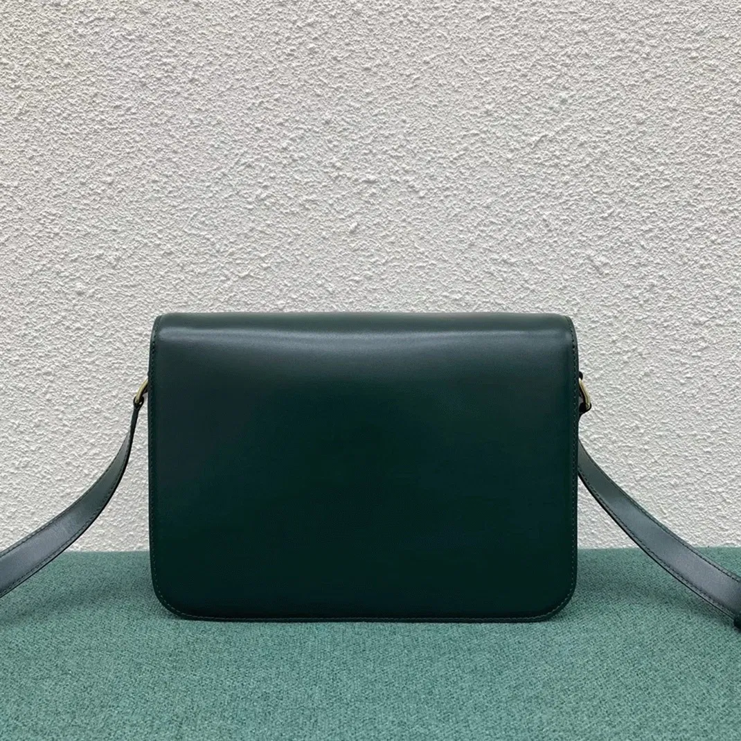 Top Quality Celine Triomphe Large Bag In Amazone — image 10