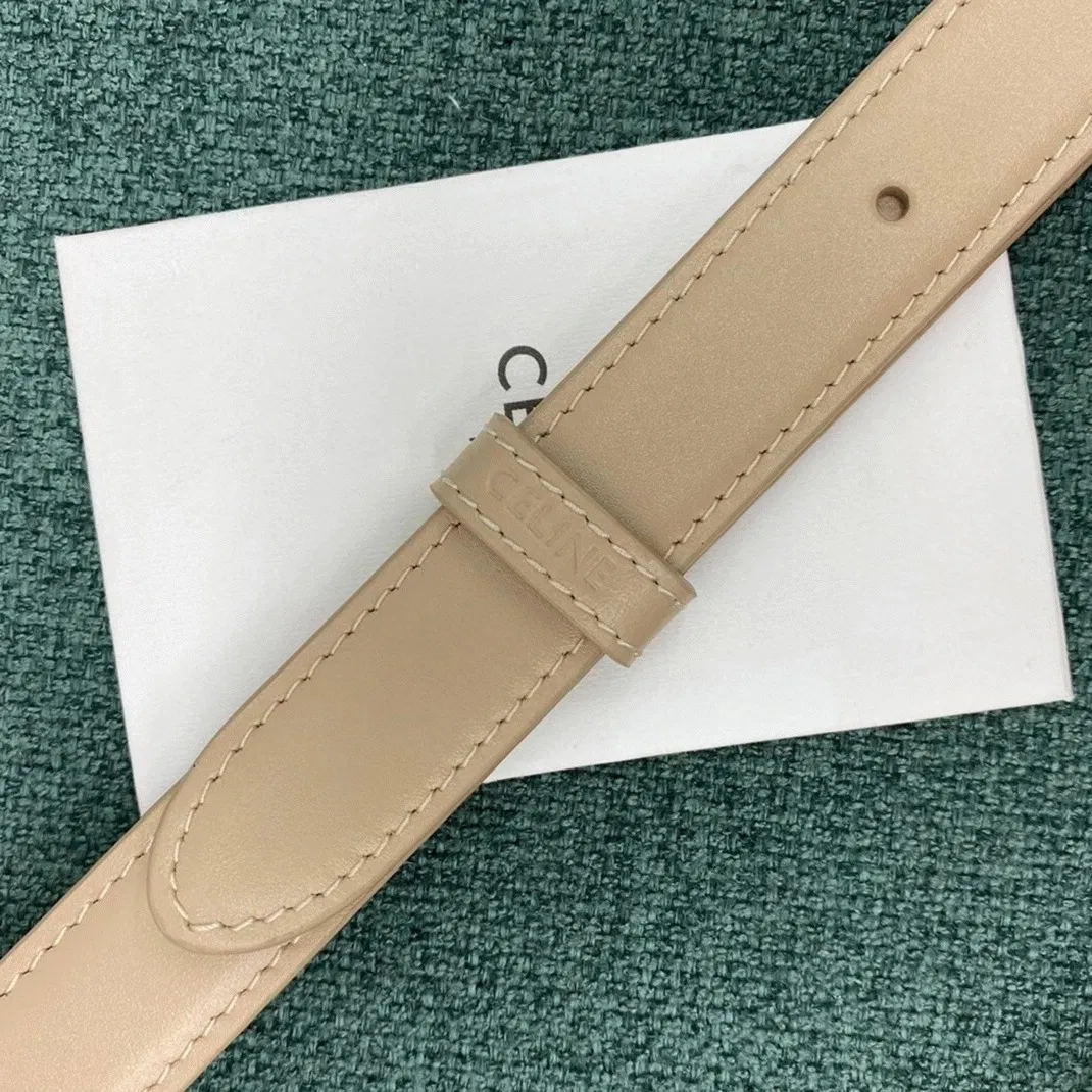 Top Quality Imitation Celine Triomphe Medium Bag In Nude — image 8