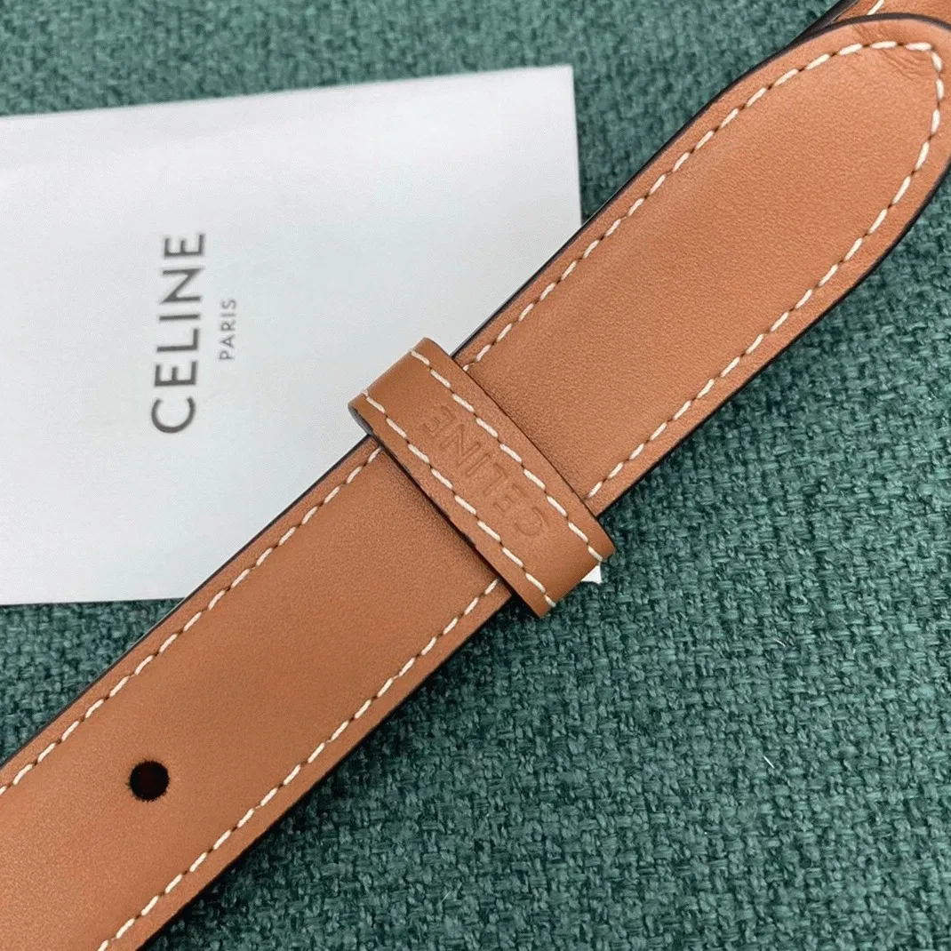 Top Quality Celine Triomphe Medium Bag In Brown — image 10