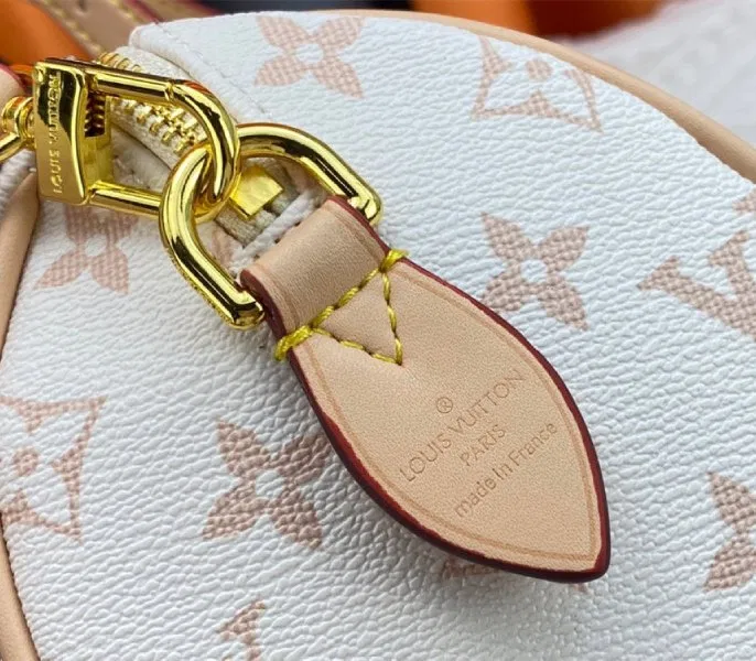 Louis Vuitton Monogram Dune Canvas Speedy 20 Handbag With Strap — image 8