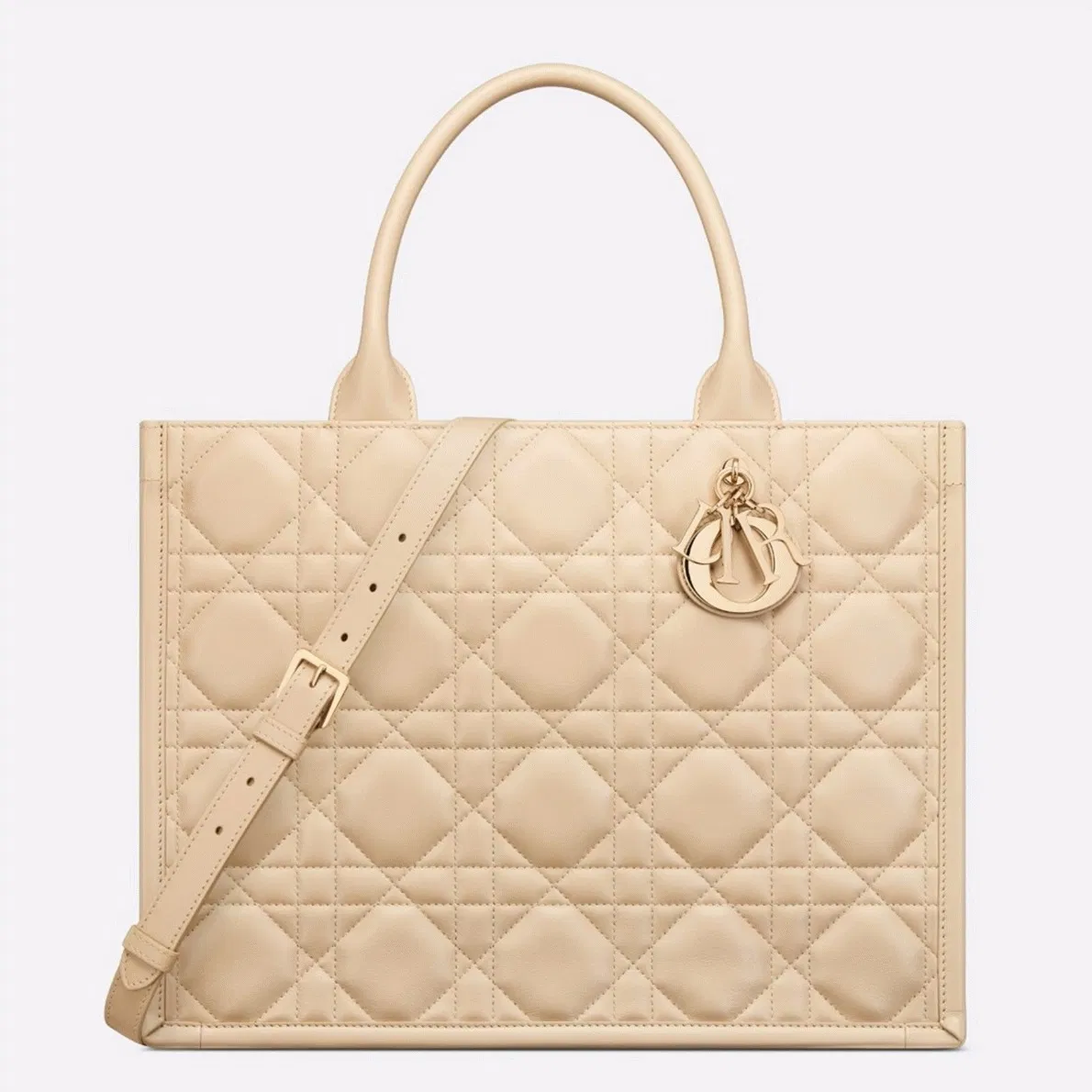 Dior Medium Book Tote Bag with Strap in Beige