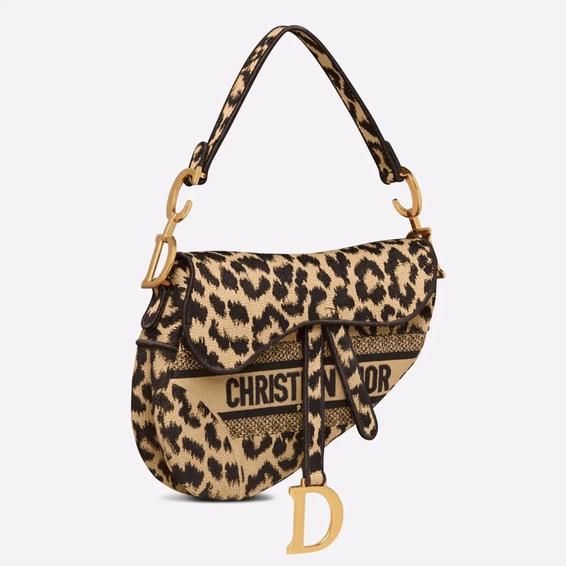 Dior Saddle Bag in Beige Multicolor Mizza Embroidery
