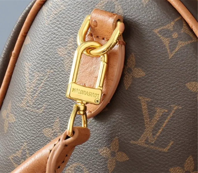 Louis Vuitton Monogram Canvas Soft Speedy 30 Boho Handbag In Tan — image 9