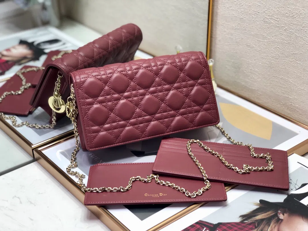Dior Lingge Bag