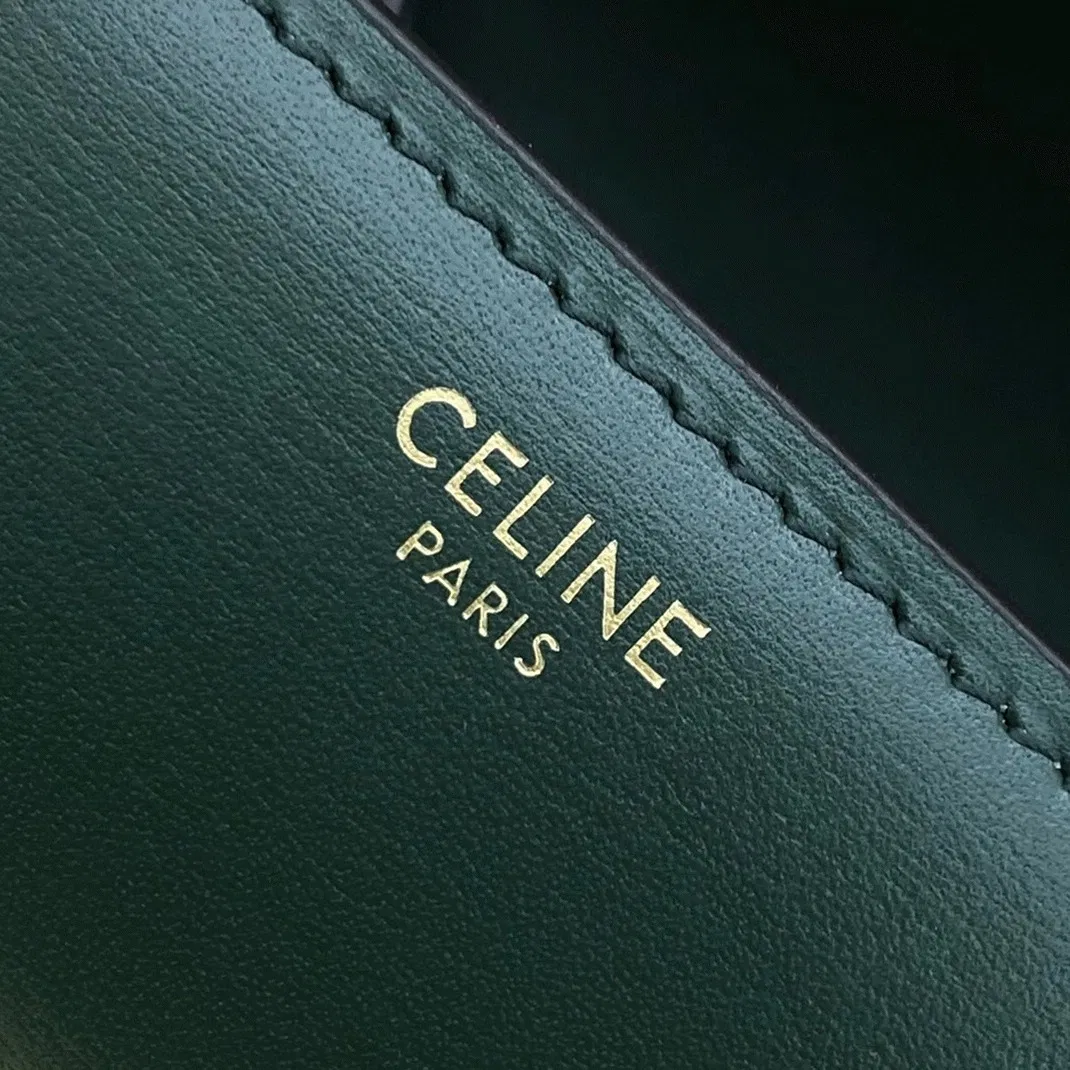 Top Quality Celine Classic Box Medium Bag In Amazone — image 6
