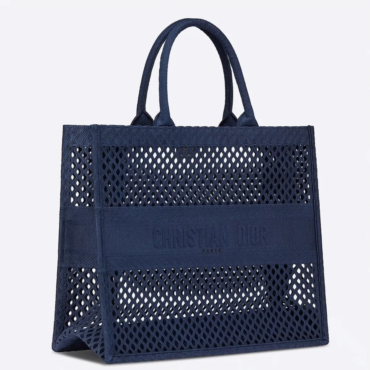 Dior Large Book Tote Bag in Blue Mesh Embroidery