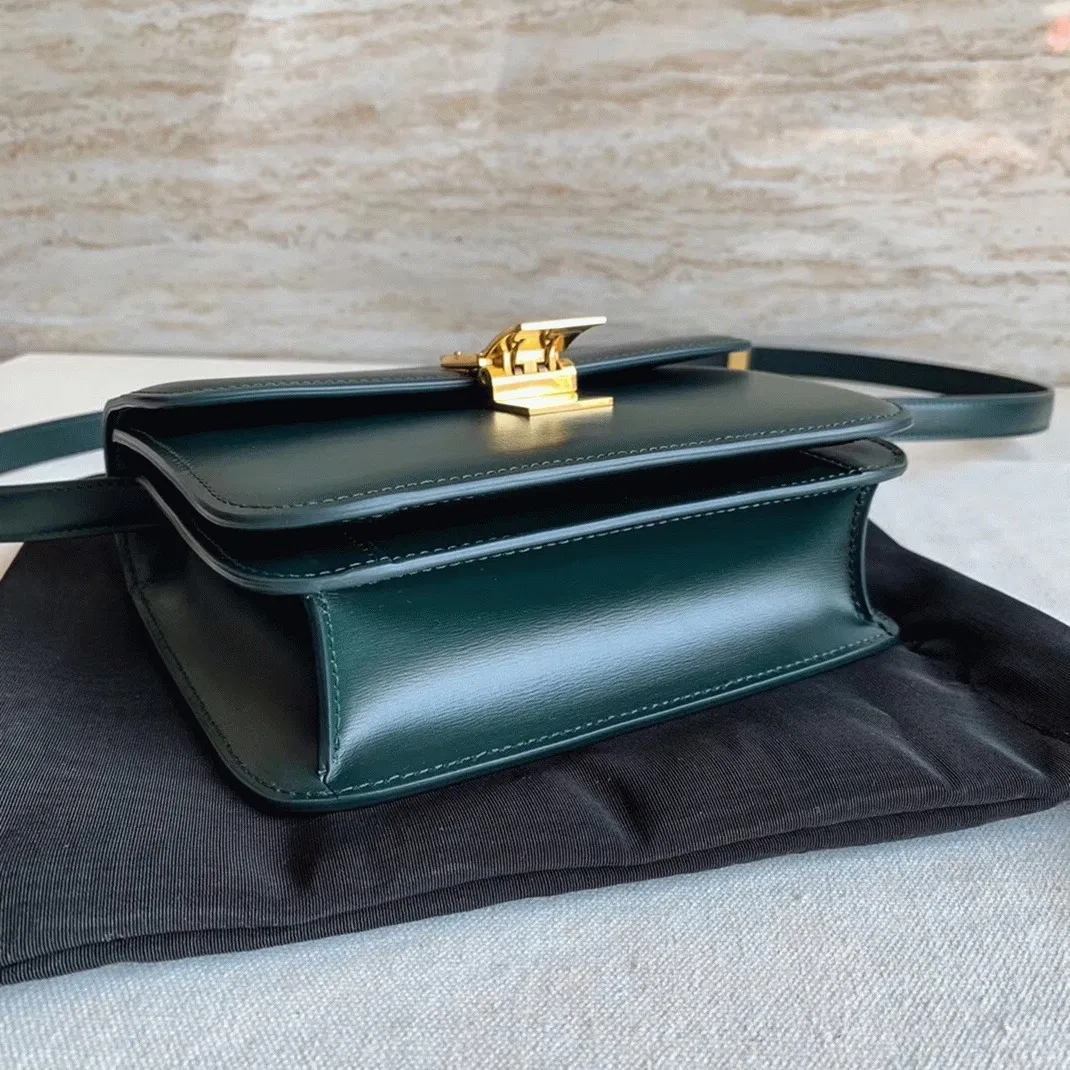 Top Quality Celine Classic Box Medium Bag In Amazone — image 5