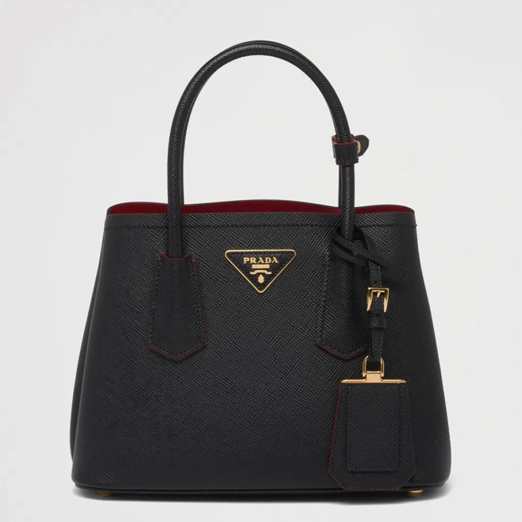 Black Prada Double Mini Bag