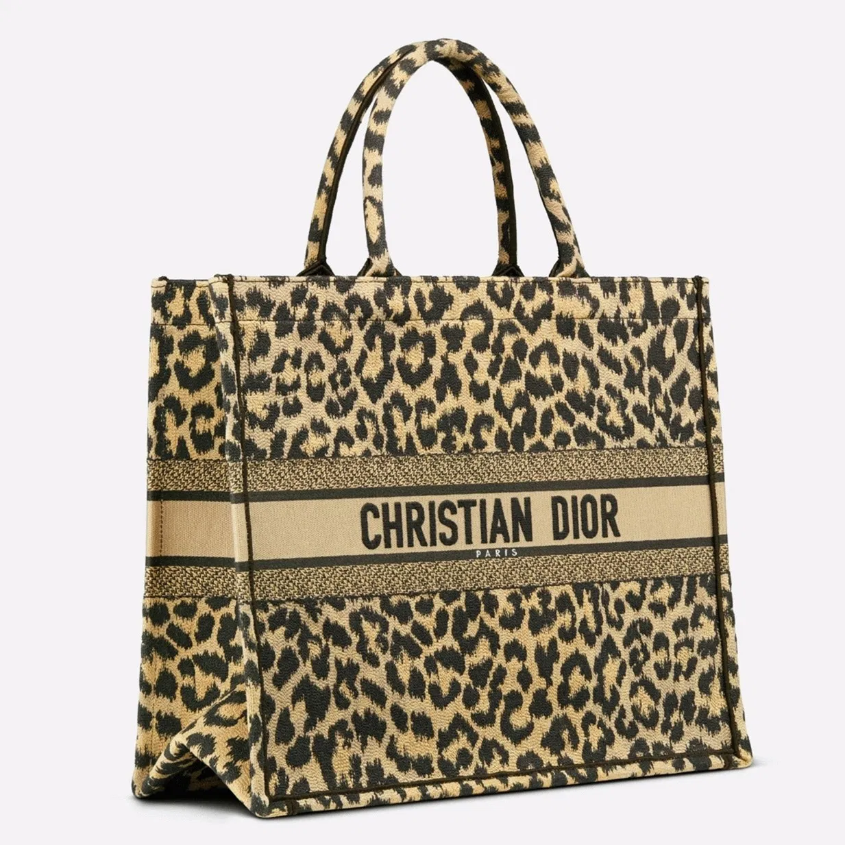 Dior Large Book Tote Bag in Beige Multicolor Mizza Embroidery