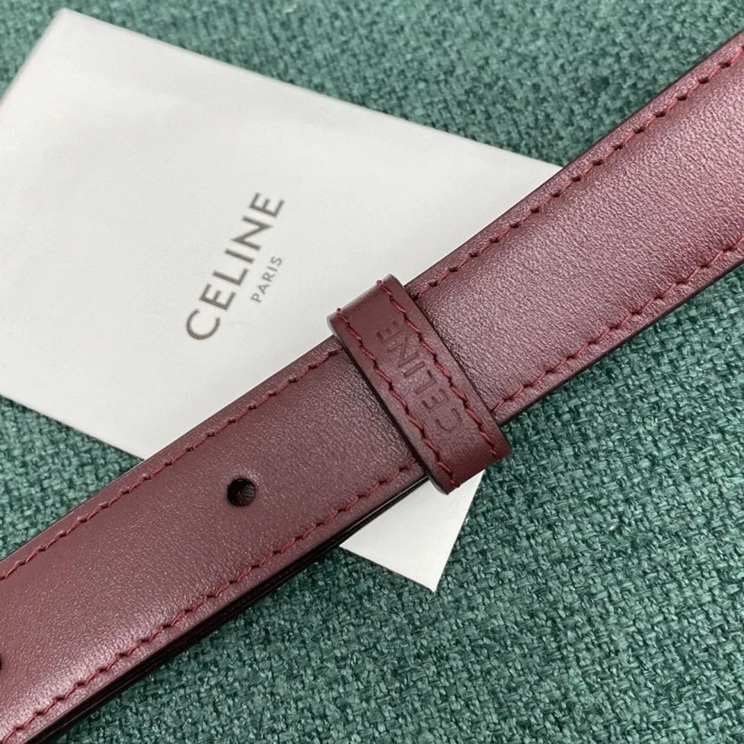 Top Quality Celine Triomphe Medium Bag In Bordeaux — image 7