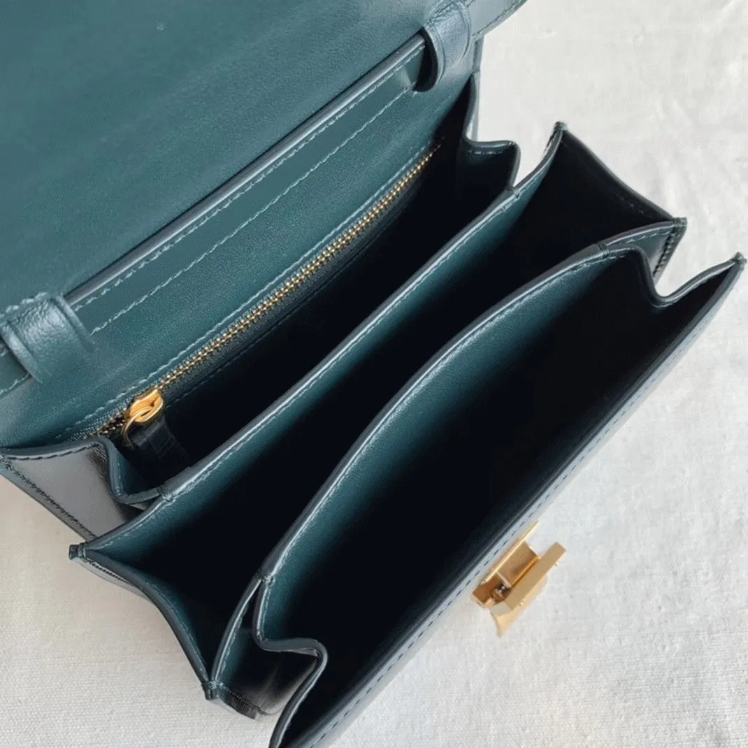 Top Quality Celine Classic Box Small Bag In Amazone — image 8