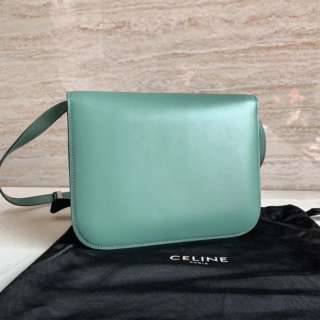 Top Quality Celine Classic Box Medium Bag In Celadon — image 7